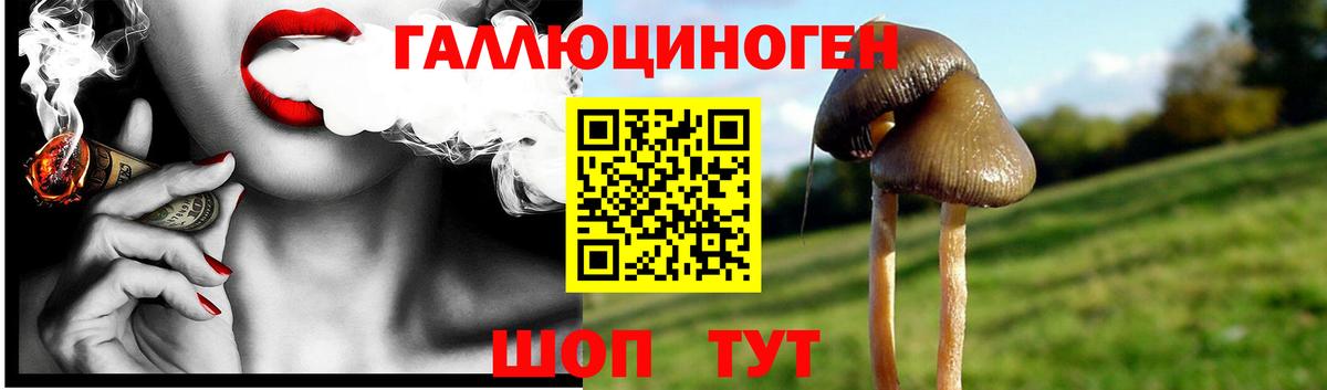 Псилоцибиновые грибы Magic Shrooms  Галлюциногенные грибы GOLDEN TEACHER  Арзамас  Вход с VPN 